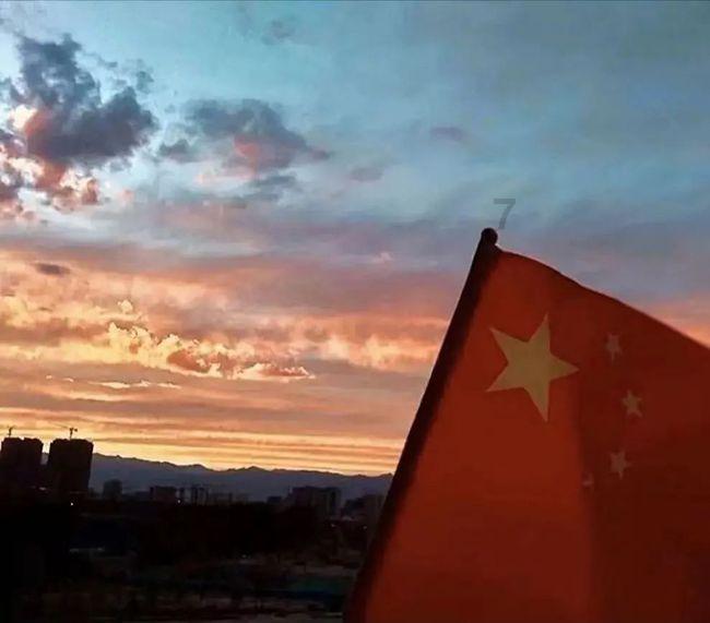 沙皮狗逃离