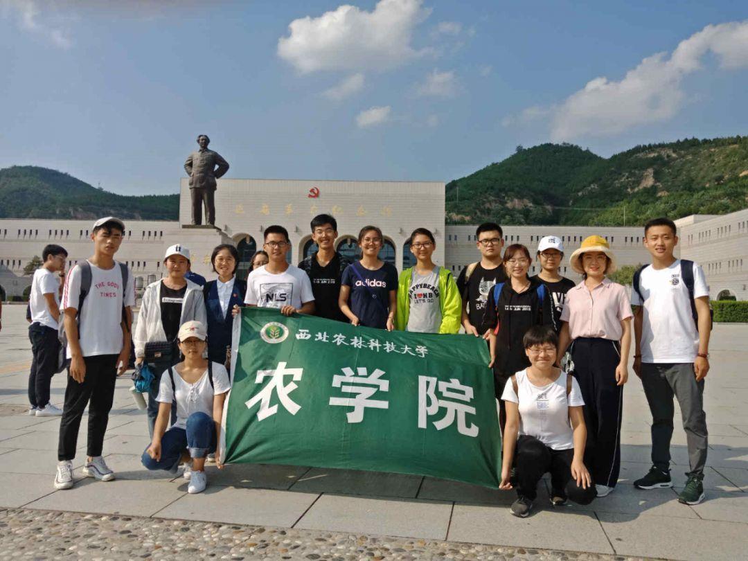 固安：盆栽蔬菜开辟致富新路