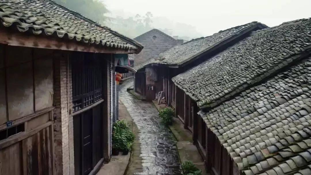 蜡笔小新兄妹春节大拜年
